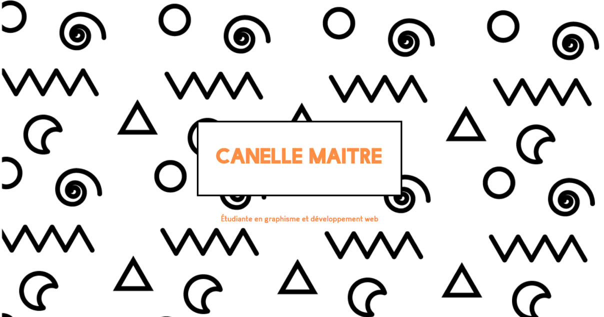 CV Interactif